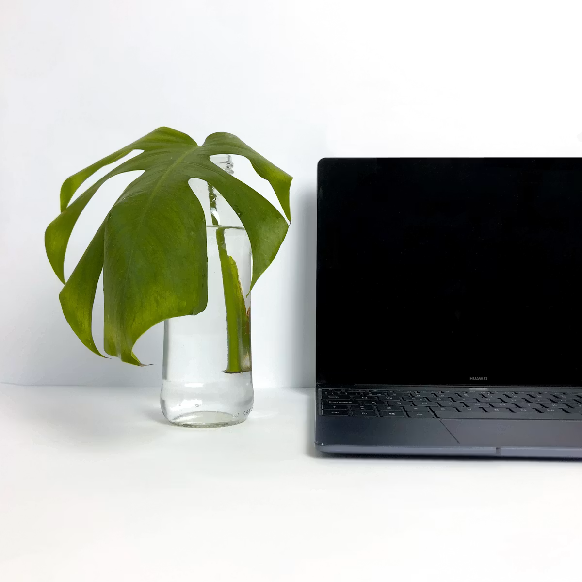 A laptop resting on a desk beside a small potted plant